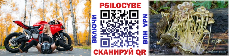 Псилоцибиновые грибы MAGIC MUSHROOMS  Березники 